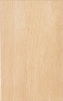 Zalakerámia Legno ZBD-42036 falicsempe